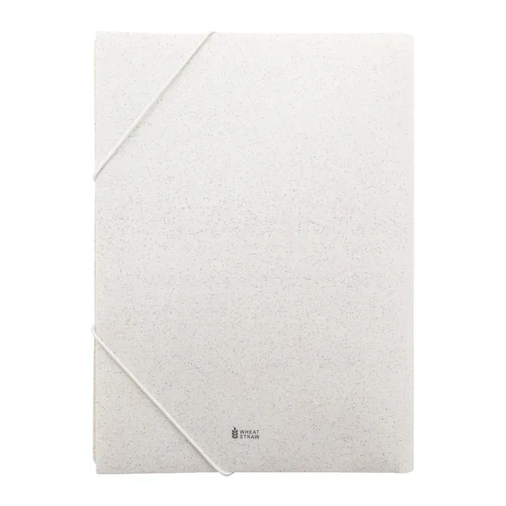 Document folder - AP800071 (ANDA#00)